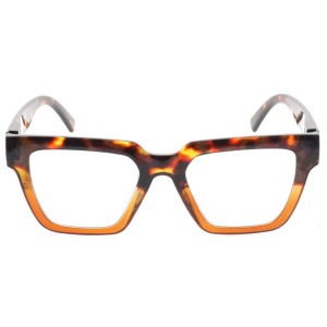 Plastic Reading Glasses